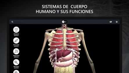 Screenshot 2 Anatomia RA: Cuerpo Humano windows