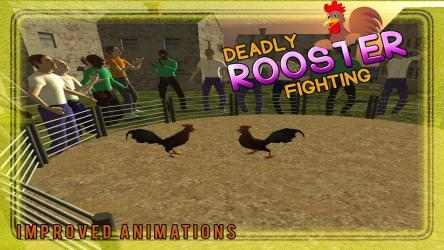 Screenshot 7 Deadly Rooster Fighting 2016 windows