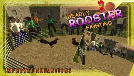 Screenshot 12 Deadly Rooster Fighting 2016 windows