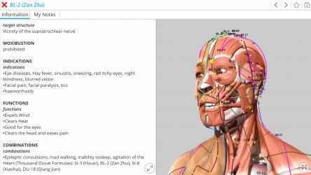 Captura 1 Visual Acupuncture 3D - Human windows
