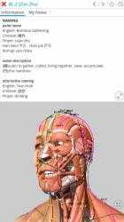 Imágen 7 Visual Acupuncture 3D - Human windows