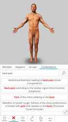 Captura 10 Visual Acupuncture 3D - Human windows