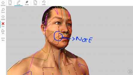Screenshot 5 Visual Acupuncture 3D - Human windows
