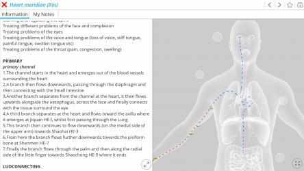 Screenshot 2 Visual Acupuncture 3D - Human windows