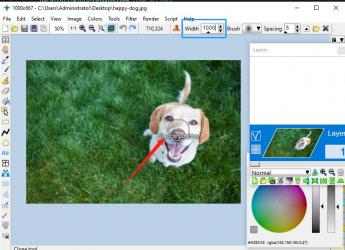 Capture 7 Coolle Image Editor windows