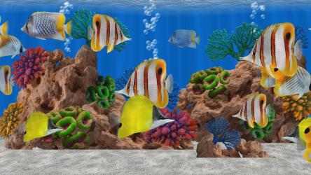 Image 2 Butterfly Fish Aquarium TV - 4k Saltwater Aquarium Coral Reef & 3D Marine Fish windows