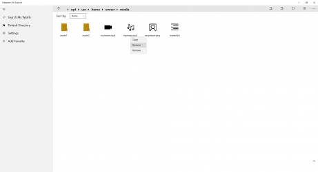 Screenshot 3 Teleporter File Explorer windows