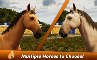 Capture 4 Horse Show Jumping Champions 2019 android