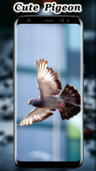 Imágen 3 Fondo de pantalla de la paloma linda android