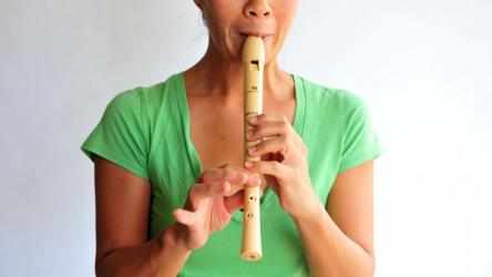 Image 4 Play The Recorder windows