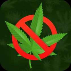 Screenshot 1 Quit Weed android