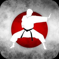 Image 1 Karate Training - Offline & Online Videos android