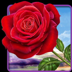 Captura de Pantalla 1 Rosa, toque mágico flores android