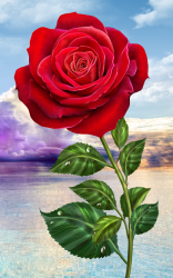 Captura de Pantalla 10 Rosa, toque mágico flores android