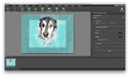 Screenshot 4 PhotoPad Photo and Image Editor for Mac mac