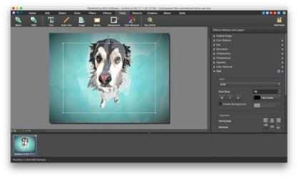 Screenshot 8 PhotoPad Photo and Image Editor for Mac mac