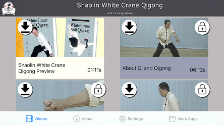 Captura 4 Shaolin Crane Qigong android
