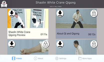 Captura 6 Shaolin Crane Qigong android