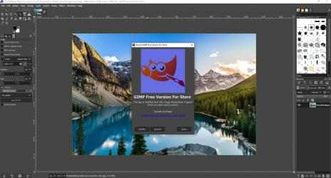 Capture 10 GIMP Free for Store windows