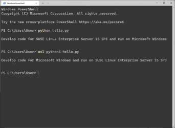 Imágen 1 SUSE Linux Enterprise Server 15 SP3 windows