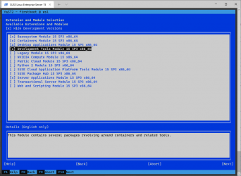 Captura de Pantalla 6 SUSE Linux Enterprise Server 15 SP3 windows