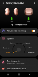 Captura 2 Galaxy Buds Live Manager android