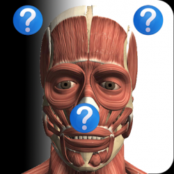 Imágen 1 Anatomy Quiz Free android