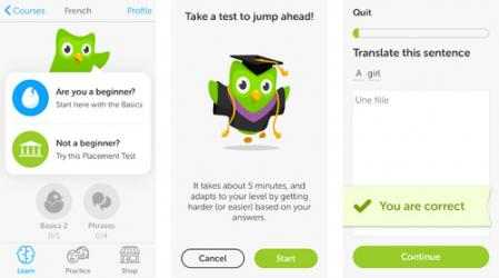 Imágen 4 Duolingo windows