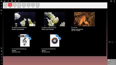 Captura de Pantalla 5 Audio Video Converter windows
