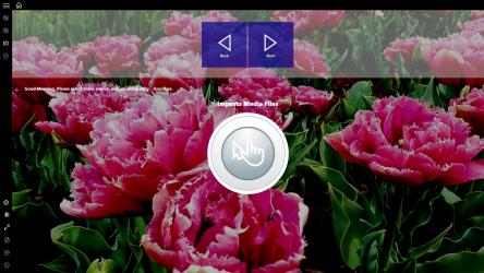 Screenshot 4 Audio Video Converter windows