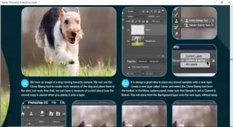 Screenshot 1 Guide For Adobe Photoshop CC windows