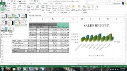 Capture 4 Easy To Use! Guides For MS Excel windows