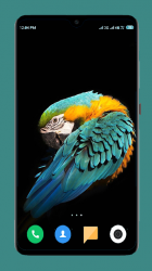 Screenshot 5 Parrot Wallpapers 4K android