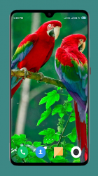 Imágen 2 Parrot Wallpapers 4K android