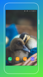 Captura de Pantalla 10 Duck Wallpaper android