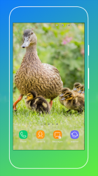 Captura de Pantalla 14 Duck Wallpaper android