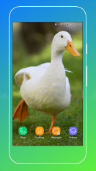 Captura de Pantalla 12 Duck Wallpaper android