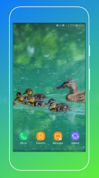 Imágen 8 Duck Wallpaper android