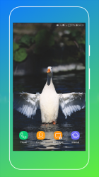 Captura de Pantalla 13 Duck Wallpaper android