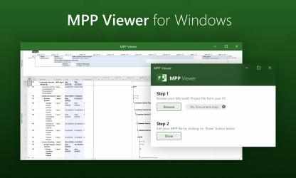Capture 1 Viewer for MS Project (.mpp file) windows