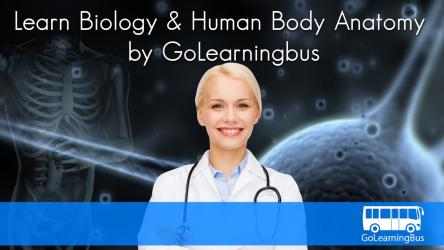 Imágen 2 Learn Biology and Human Body Anatomy by GoLearningBus windows