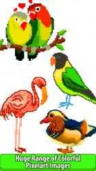Screenshot 10 Birds Color by Number: Pixel Art, Sandbox Coloring Book windows