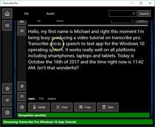 Screenshot 8 Transcribe Pro windows