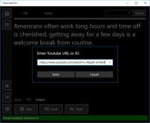 Screenshot 7 Transcribe Pro windows