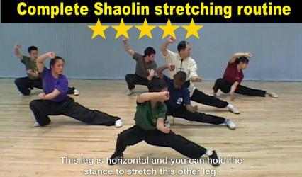 Imágen 4 Shaolin Kung Fu android