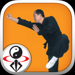 Captura 1 Shaolin Kung Fu android