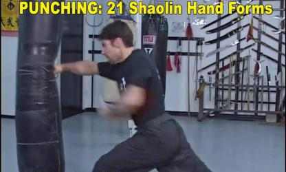 Captura 10 Shaolin Kung Fu android