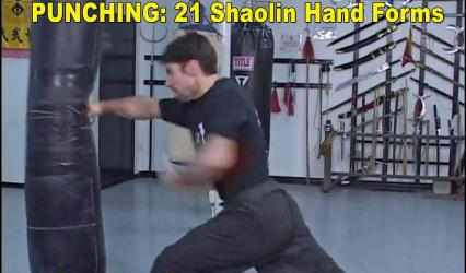 Imágen 5 Shaolin Kung Fu android