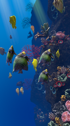 Captura 11 Ocean Aquarium android