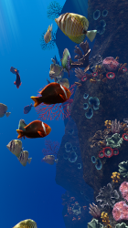 Captura de Pantalla 13 Ocean Aquarium android
